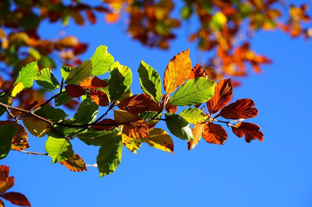 Get Your finances in order before the Autumn Budget
